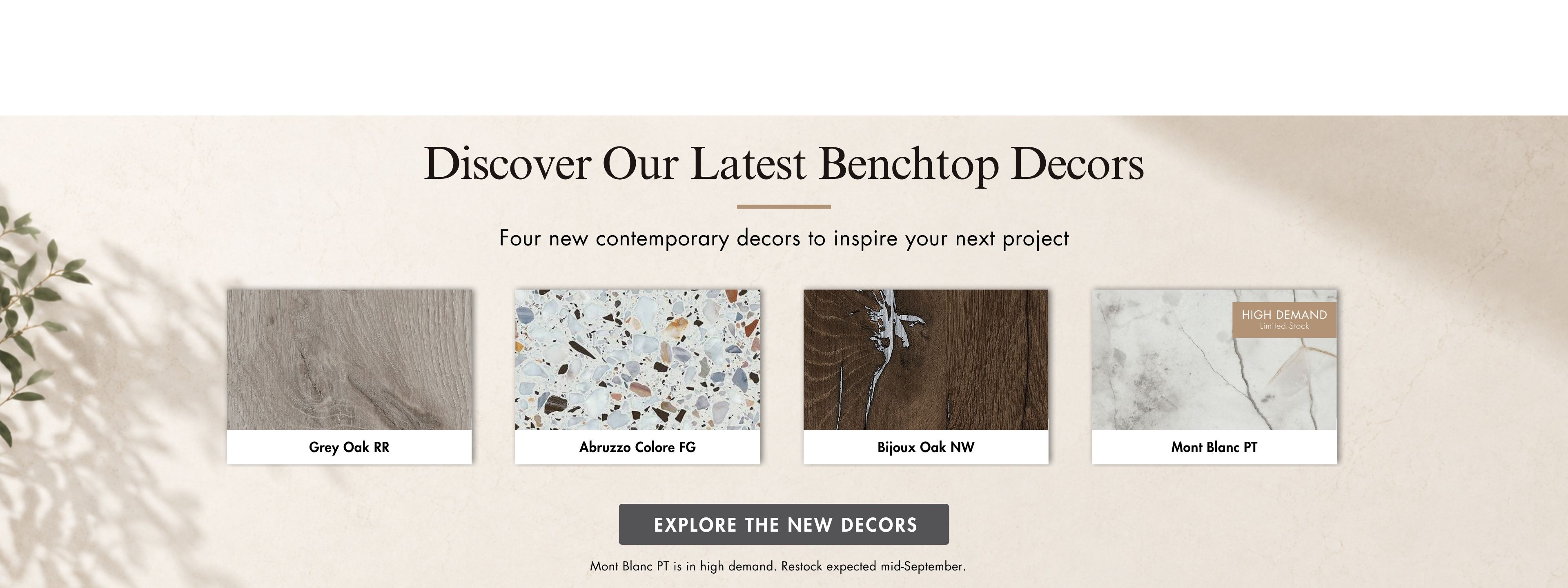 111NewBtopDecor
